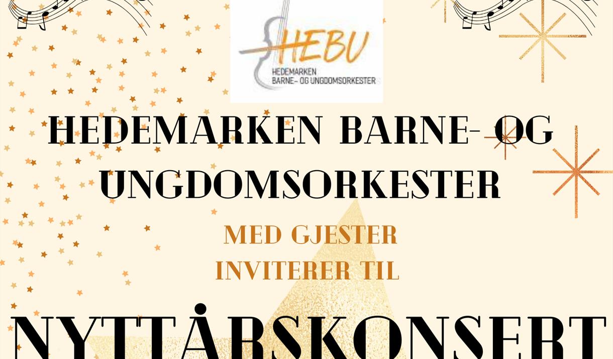 Nyttårskonsert med Hedemarken barne- og ungdomsorkester