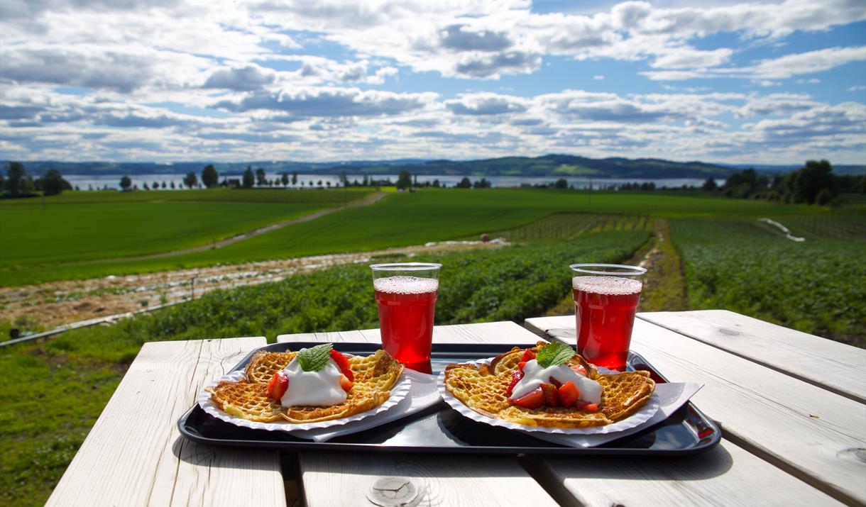 Strawberry kiosk at farm Søndre Elton