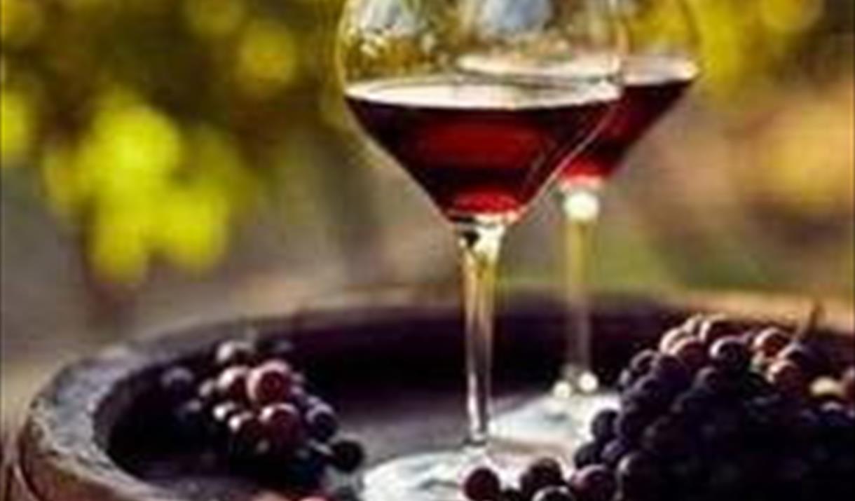 Nybegynnerkurs i vinsmaking