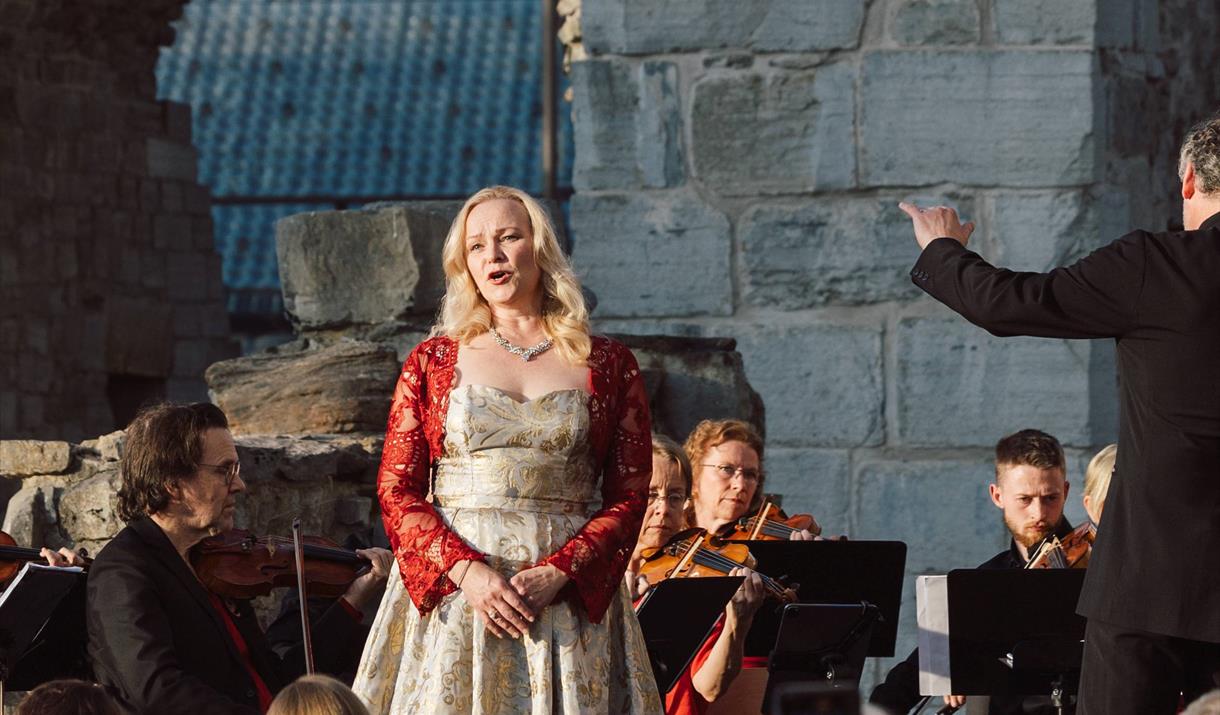 Bernt Ola Volungholen & Oslo Kammerakademi: Des Knaben Wunderhorn