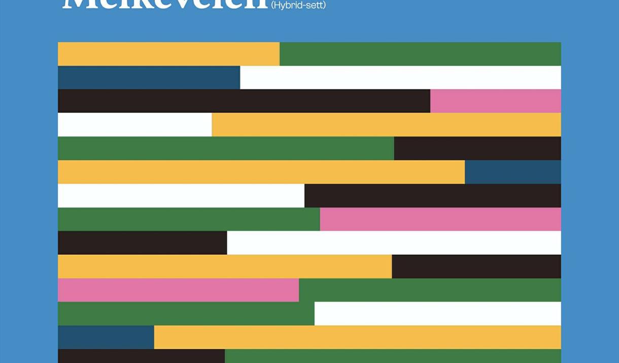 Klubbkveld 6.0 Hamar House & Techno + Todd Terje