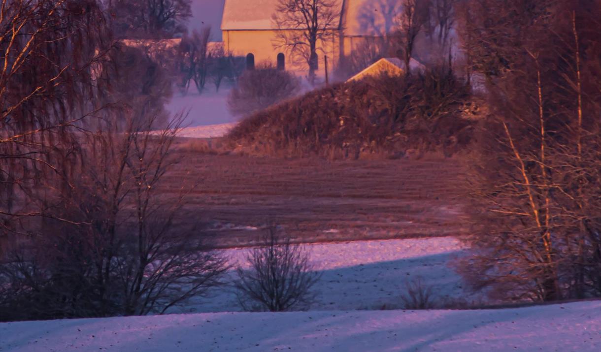 L I V E T S • J U L