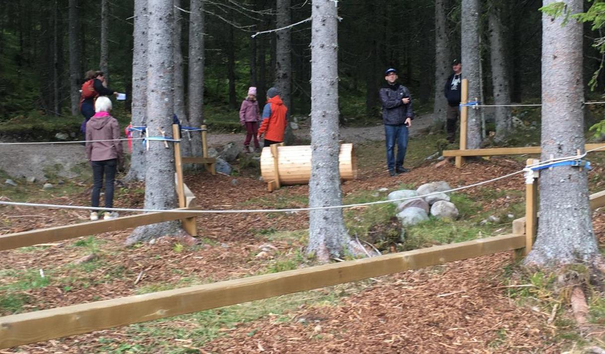 Barnas Turlag: Kom deg ut-dagen i naturstien på Gåsbu