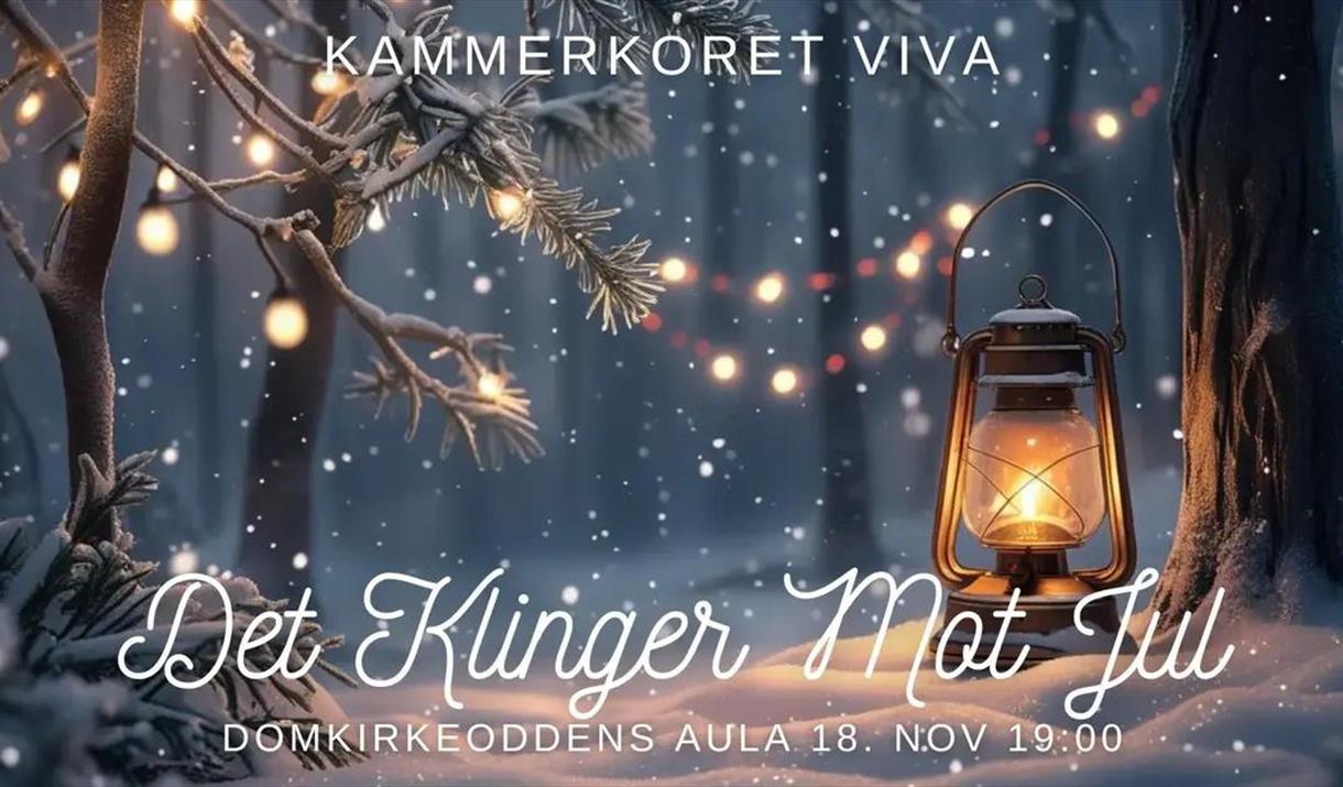 Førjulskonsert med Viva