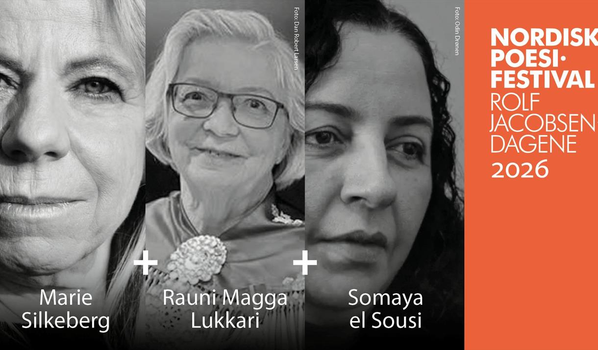Nordisk Poesifestival - Hva er poesi?