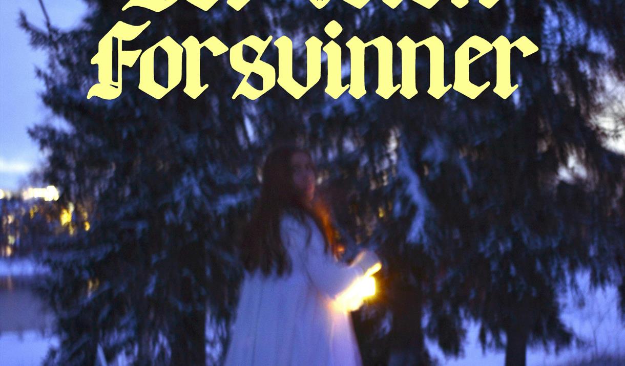 Danselinja ved Stange VGS presenterer: Der veien forsvinner