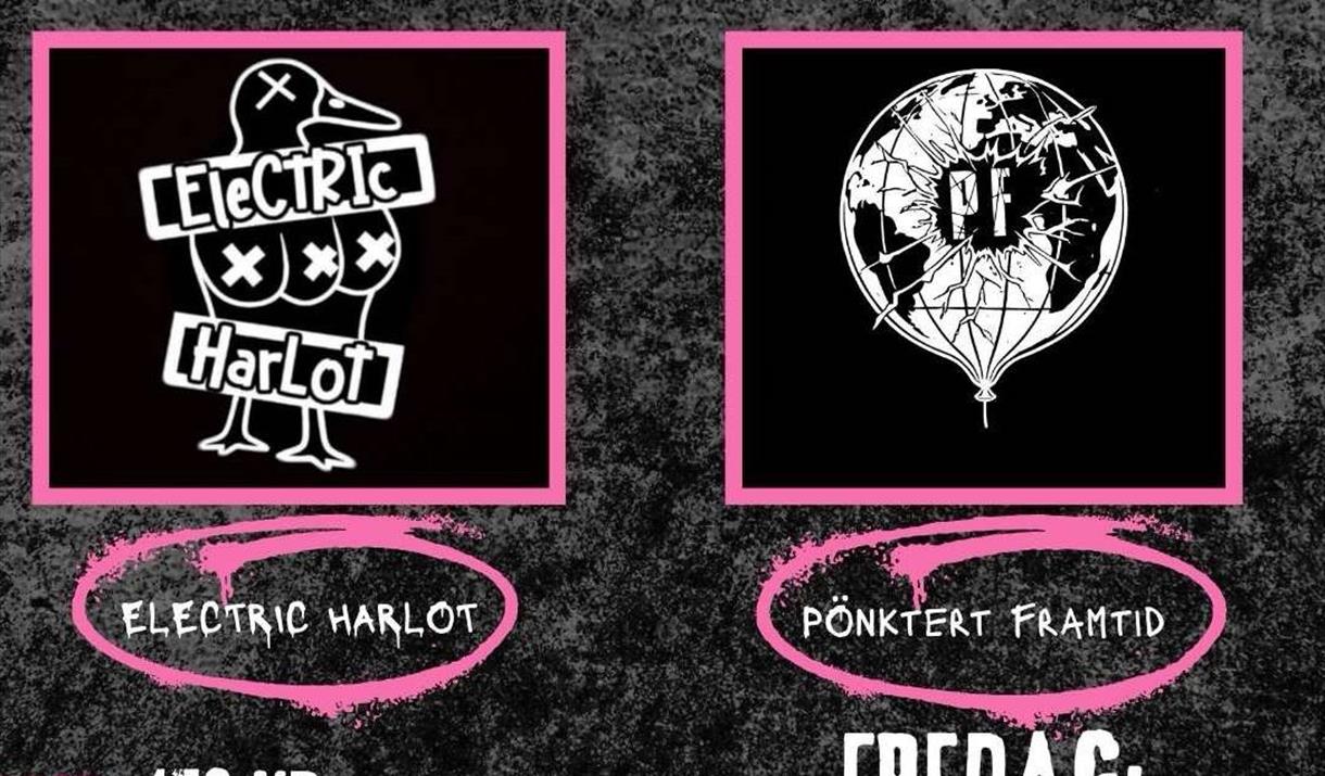 Pönktert Framtid og Electric Harlot på Docile