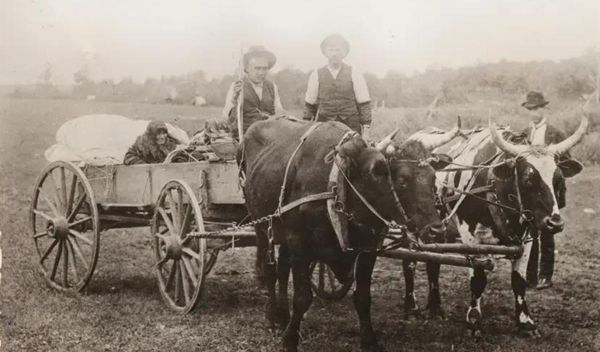 Olsokvandring