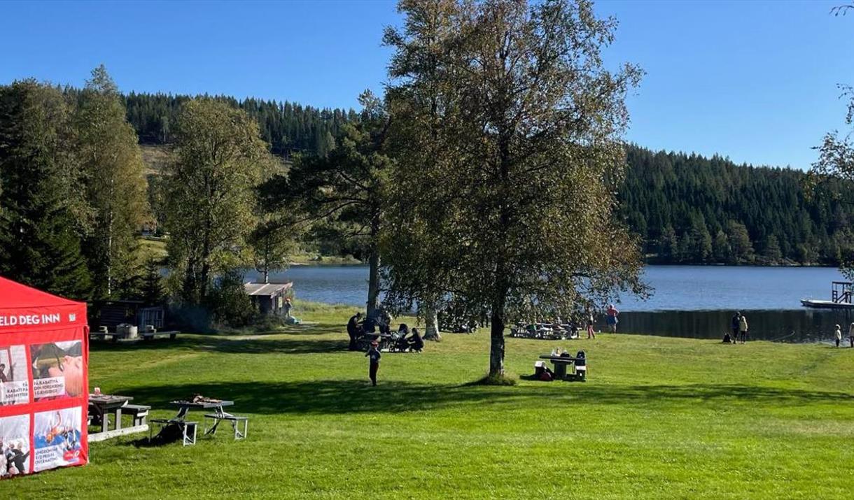 Barnas Turlag: Kom deg ut-dagen på Bergsjøen i Stange allmenning
