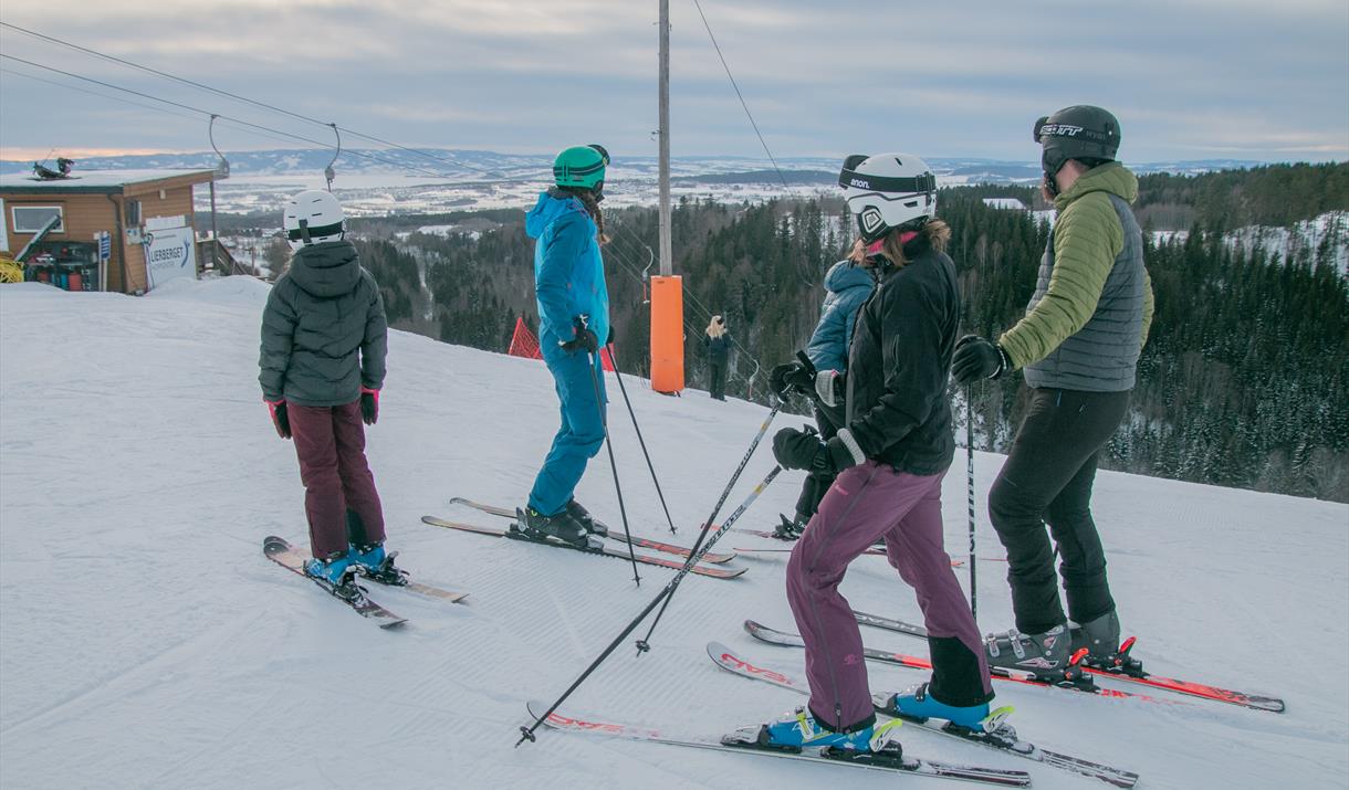 Hamar alpinsenter, Lierberget