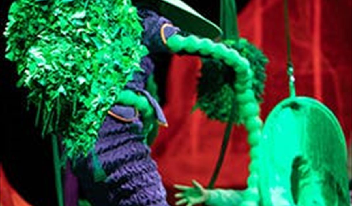 Himstregimser og andre duppeditter