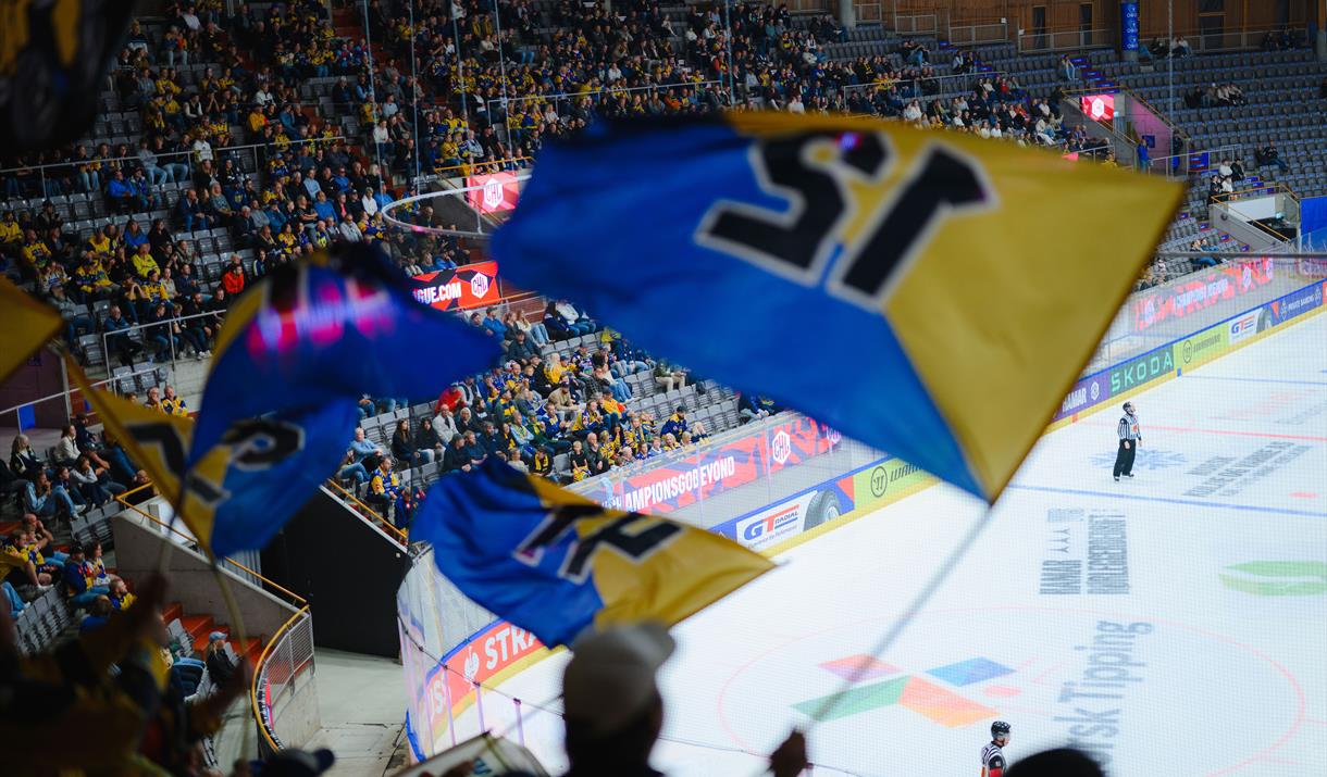 CHL: Storhamar – Pinguins Bremerhaven