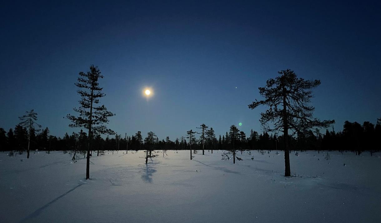 HHT Unge voksne: Skitur med hodeykt fra Gåsbu