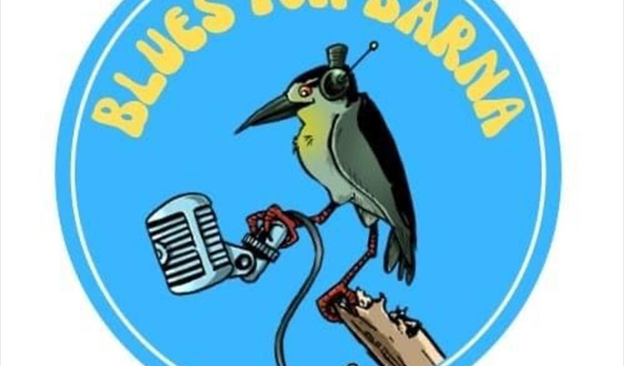 BLUES FOR BARNA Søndag den 16. november kl. 14.00 på GREGERS Live Hamar!