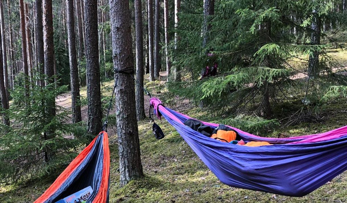 HHTs Friluftsskole uke 33