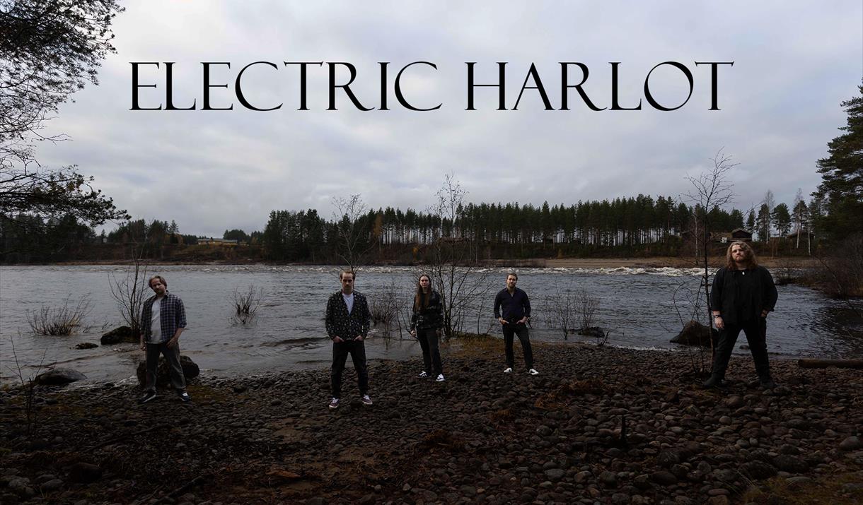 Electric Harlot