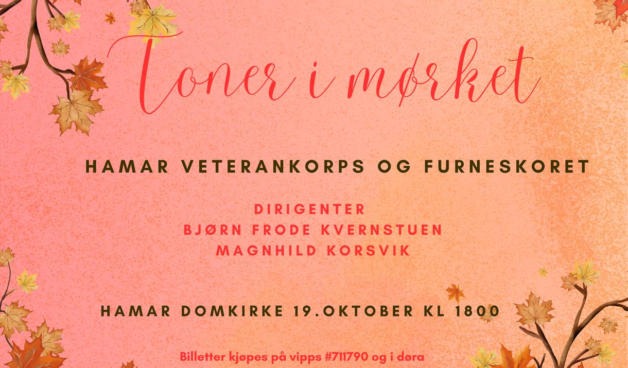 Toner i mørket