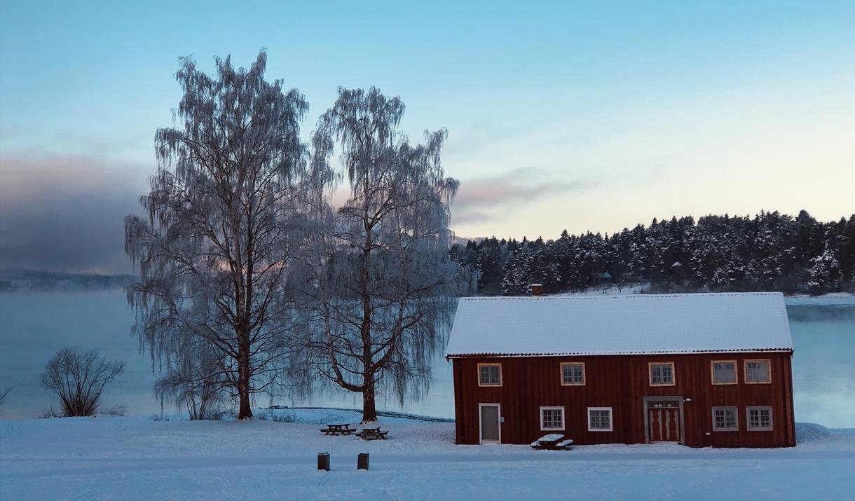 Winter scene at Domkirkeodden with snow‑covered trees and a cool blue light across the landscape, overlooking Lake Mjøsa.