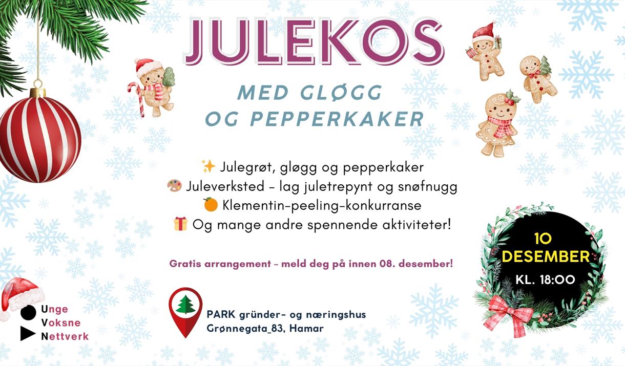 JULEKOS med gløgg og pepperkaker!