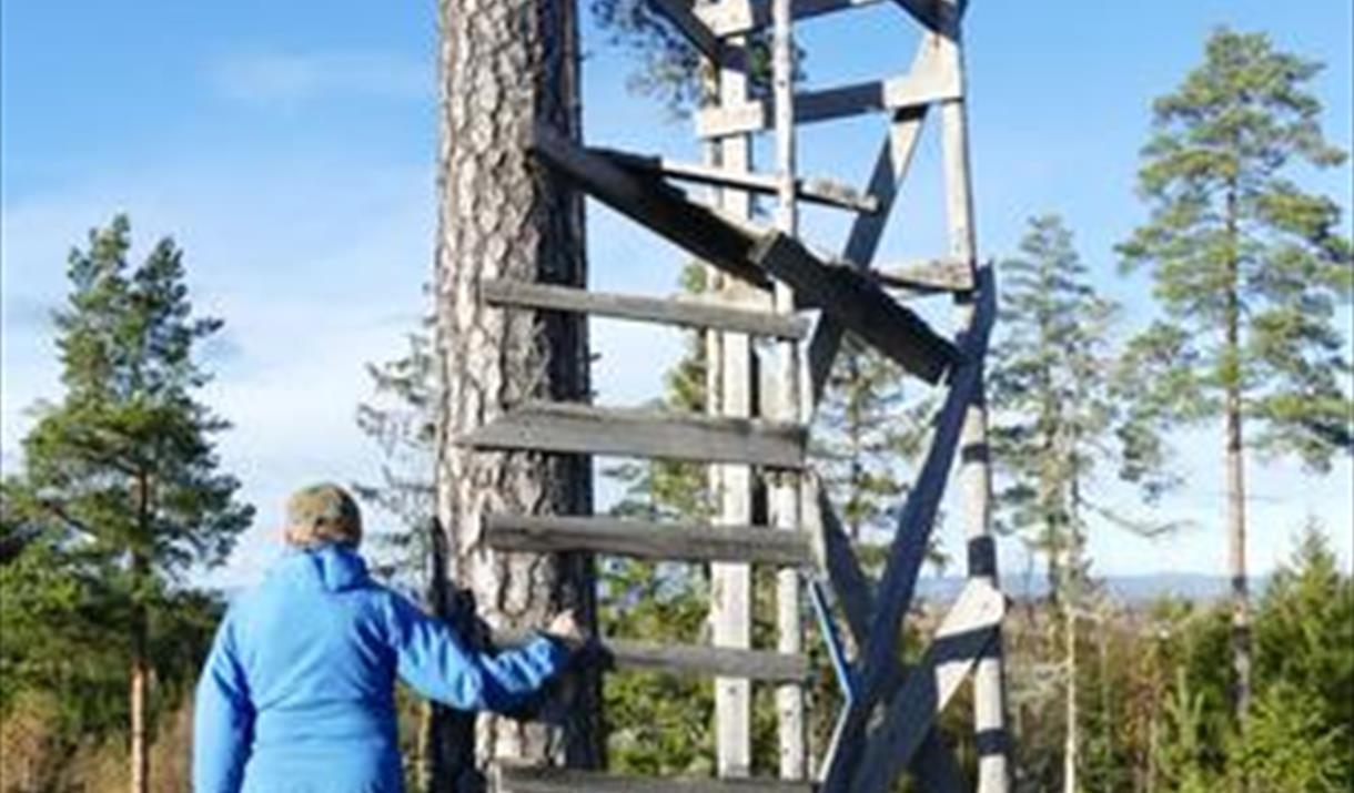 HHT Onsdagsgruppa går rundtur i Bjørsrudåsen