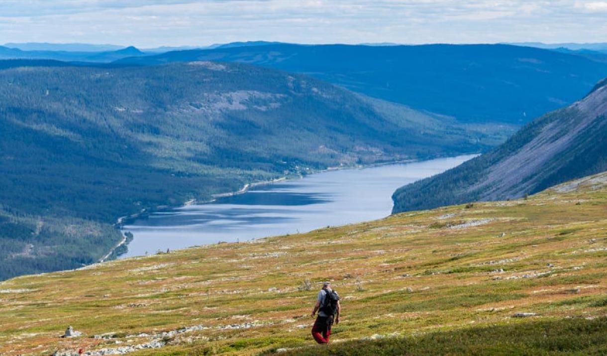 HHT: Fellestur til Kampflåhøgda - Trysils høyeste fjell