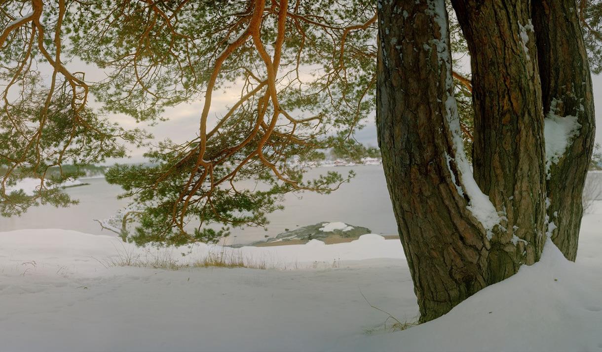 Aldri som før | Mikkel McAlinden