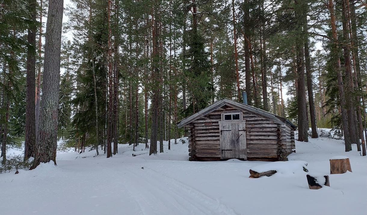 Hytte i skogen på vinteren