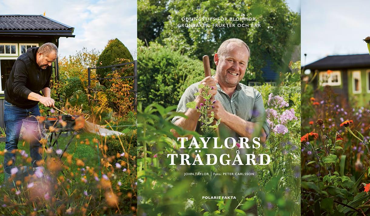 Taylors Trädgård