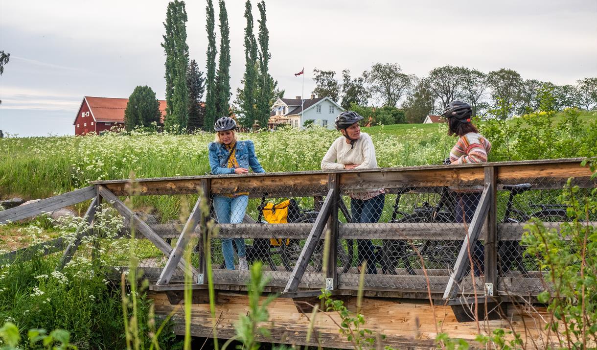 Sykkeltur Stange Vestbygd