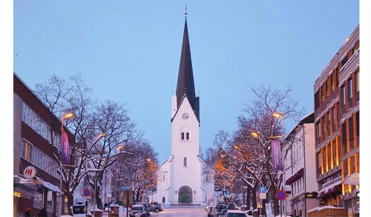 Vinterutsikt mot Hamar domkirke