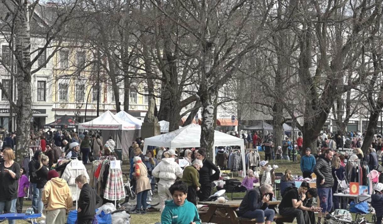 Mai-loppis i Strandgata