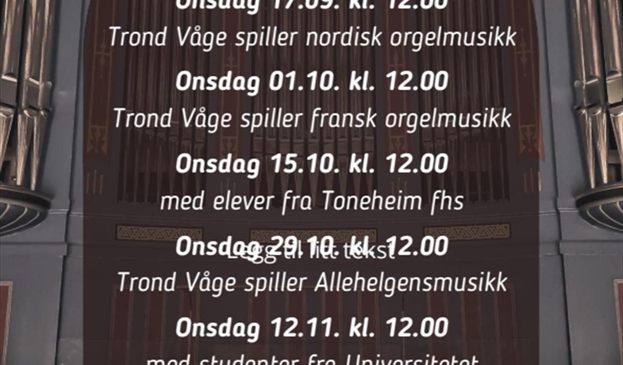 Oversikt over høstens lunsjkonserter