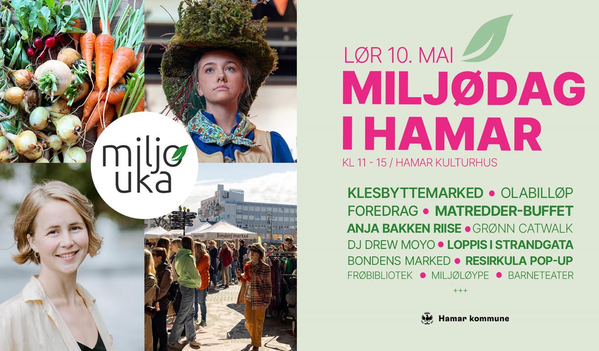 Miljødag i Hamar