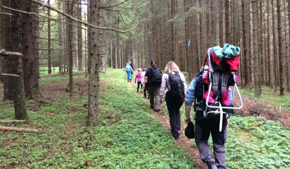 Ormsæterrunden i Vangsåsen