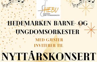 Nyttårskonsert med Hedemarken barne- og ungdomsorkester