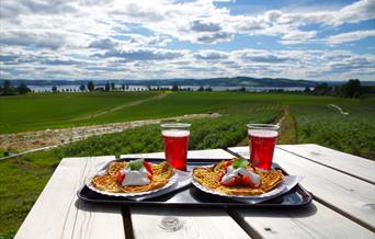 Strawberry kiosk at farm Søndre Elton