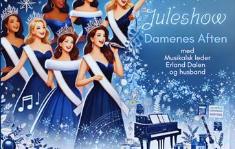 Damenes Aften er klar med sin 24 julekabaret