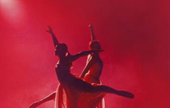 PS:Dans presenterer: Nøtteknekkeren