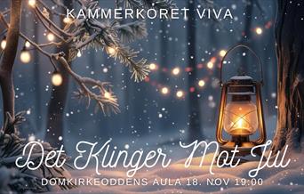 Kammerkoret Viva - Det klinger mot jul