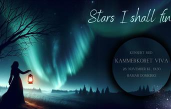 Stars, I shall find