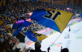 CHL: Storhamar – Pinguins Bremerhaven
