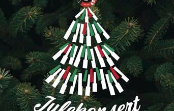Julekonsert med Toneheim Folkehøgskole