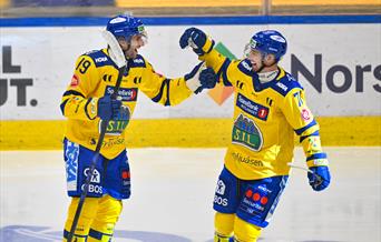 EHL: Storhamar - Vålerenga