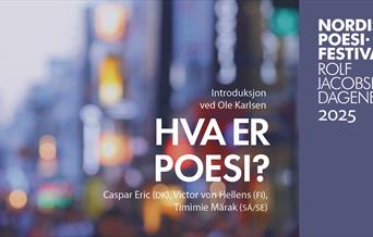 Hva er poesi?