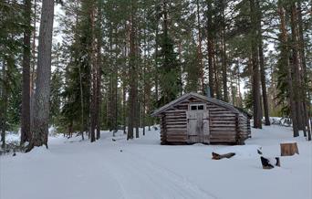 Hytte i skogen på vinteren