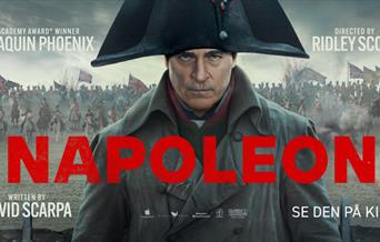 En ekte og personlig vinkling på Napoleons spede begynnelse.