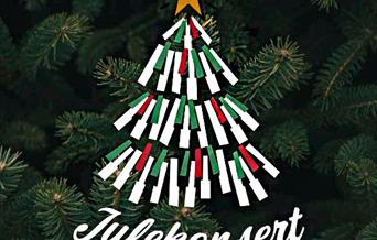 Julekonsert med Toneheim Folkehøgskole