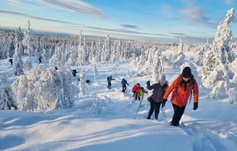 HHT Unge voksne: Trugetur på Hedmarksvidda