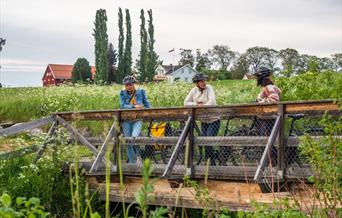 Sykkeltur Stange Vestbygd