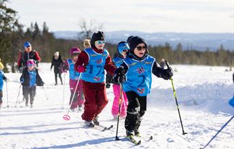 Barnas skileker på Budor